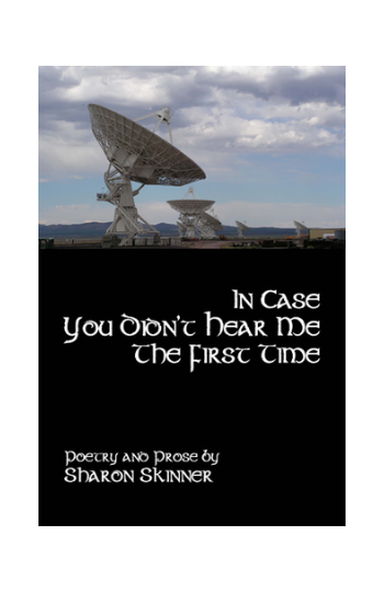 Book cover for In Case You Didn't Hear Me The First Time by Sharon Skinner